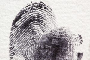 fingerprint, dactylogram, papillary ridges-255904.jpg